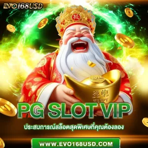 pg slot vip